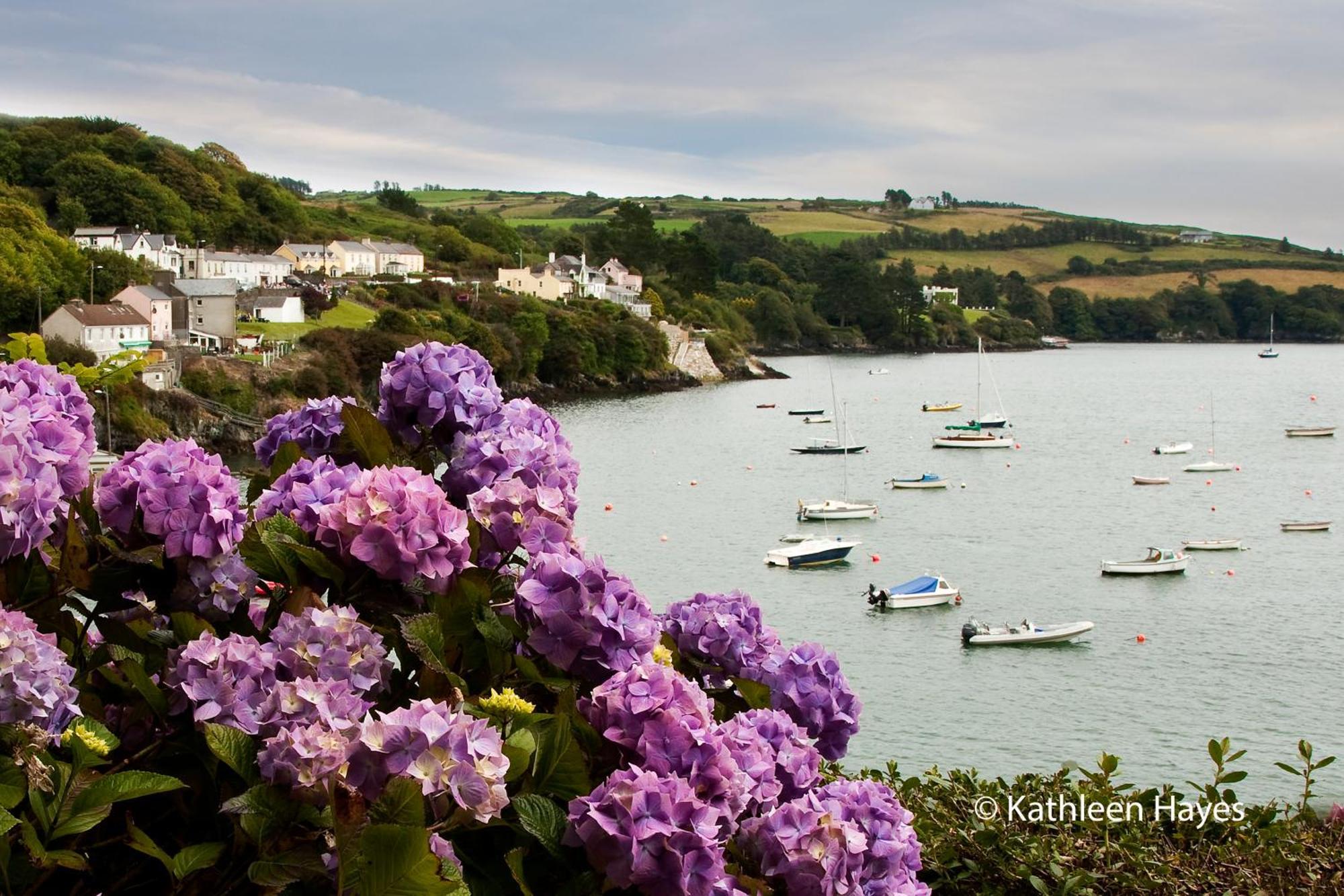 Bay View B&B Glandore Room photo